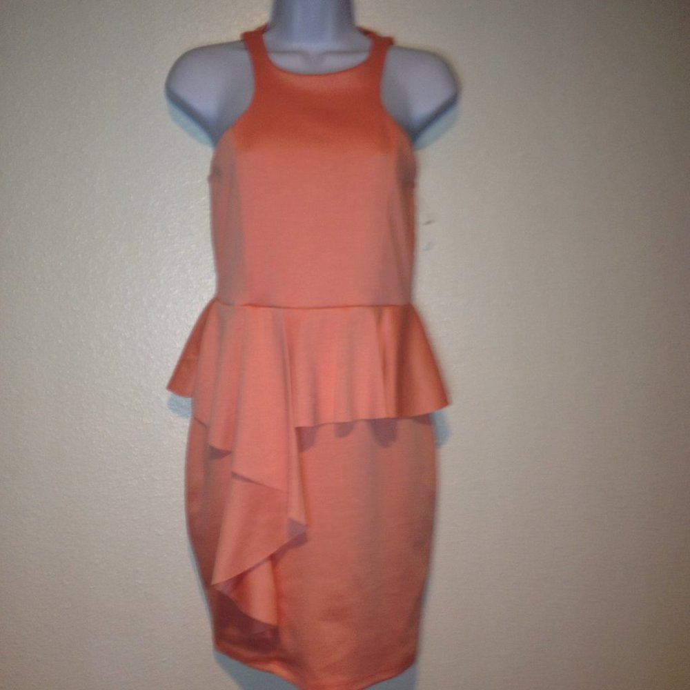 Tea N Rose Ruffled Sleeveless Dress